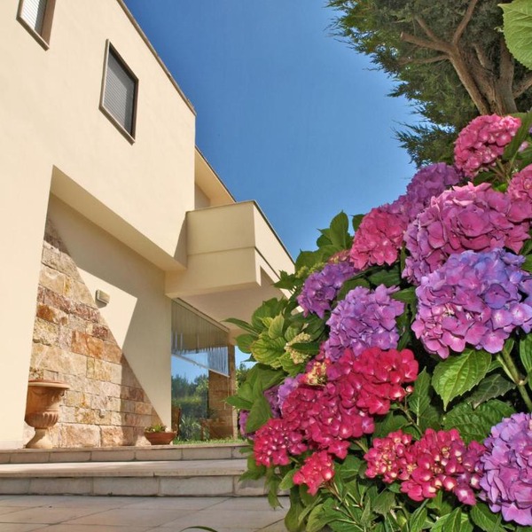 B&B Neptunia fronte mare