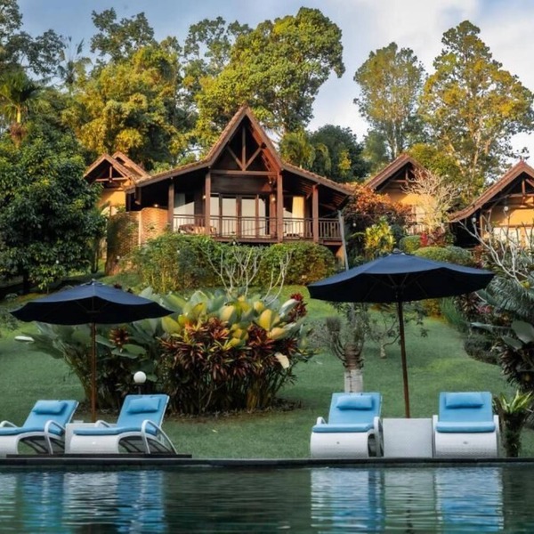 Bali Palms