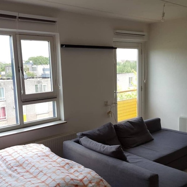 Basic Studio Apartment Near Amsterdam Arena