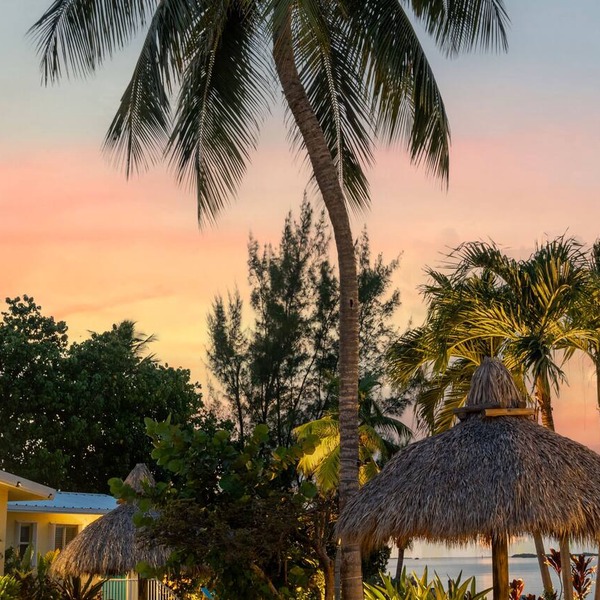 Bay Harbor Lodge