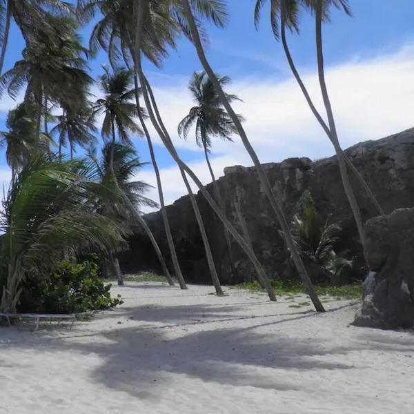Beachcliff Bottom Bay Barbados