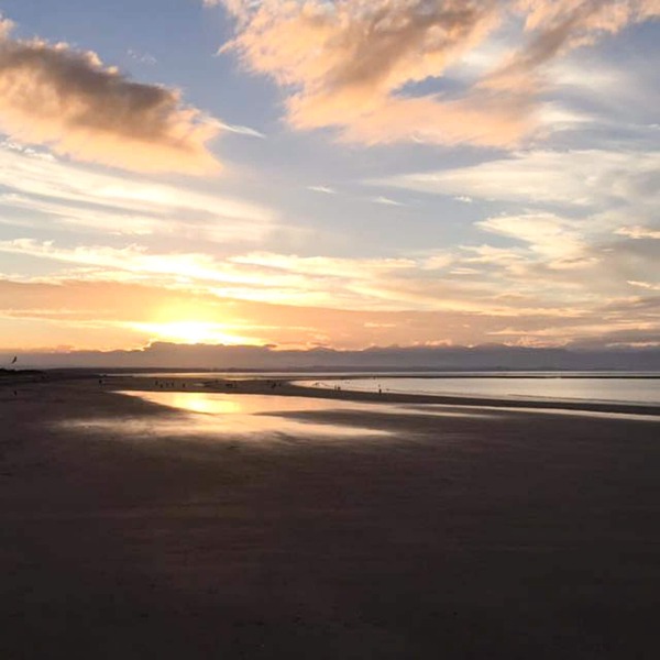 Beaches Nelson