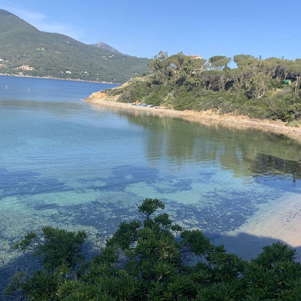 Beachfront villa with direct access – Procchio