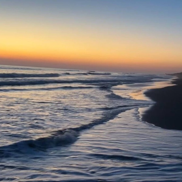Beachfront with spectacular ocean access and views, with local wildlife.