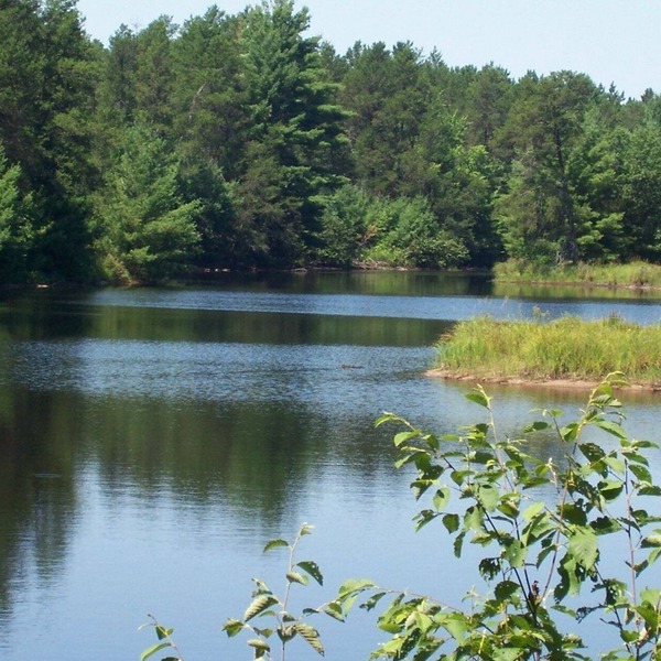 Bear's Den- Cottages On Serenity Lake- Beautiful Cottage On Small, Private Lake!