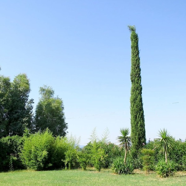 Beautiful apartment in villa for 4 people with pool, WIFI, TV, terrace, pets allowed and parking