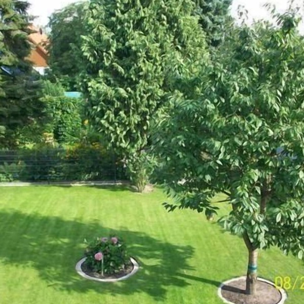 Beautiful holiday flat in Alt-Marzahn