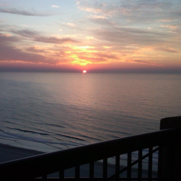 Beautiful Oceanview Margate. Book now for June and July