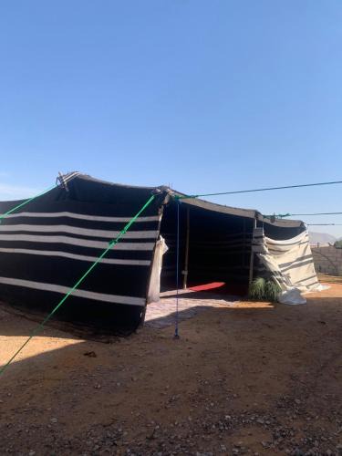 Bedouin experiences