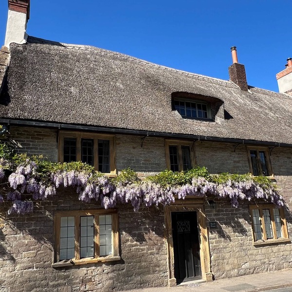 Beech House - sleeps 9 guests in 5 bedrooms
