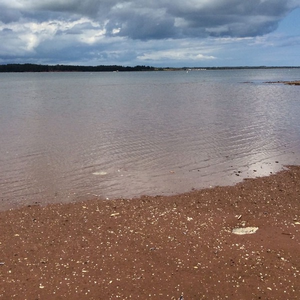 Belleview Beach House cottage with more than 1500 feet waterfront beach....