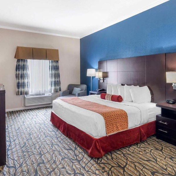 Best Western Spring Hill Inn & Suites