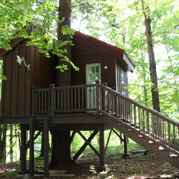 Big Hollow Board and Batten House with Nerf Treehouse!
