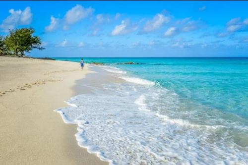Bimini 2BR-2BA Ocean View Near Infinity Pool & Beach