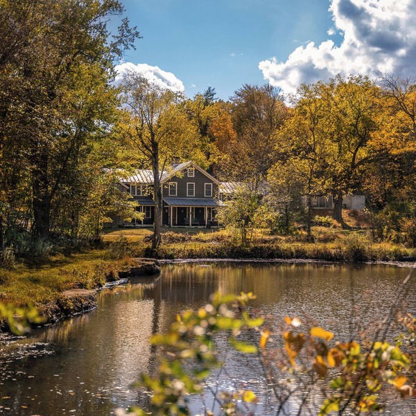 Black Walnut Tree Farm: 50-Acres + Private Pond
