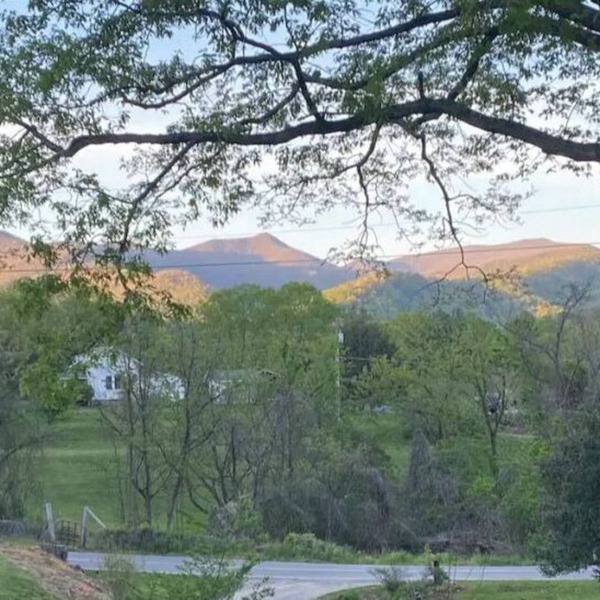 Blue Ridge Mountain Cottage close to everything Asheville has to offer.