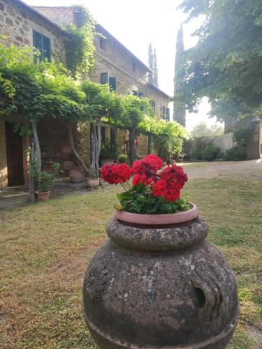 Borgo Villa a Tolli