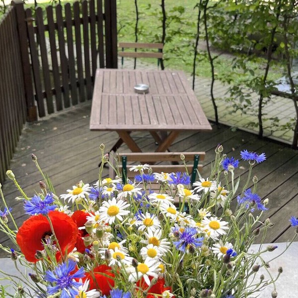 Boxi Beautifull Studio with patio