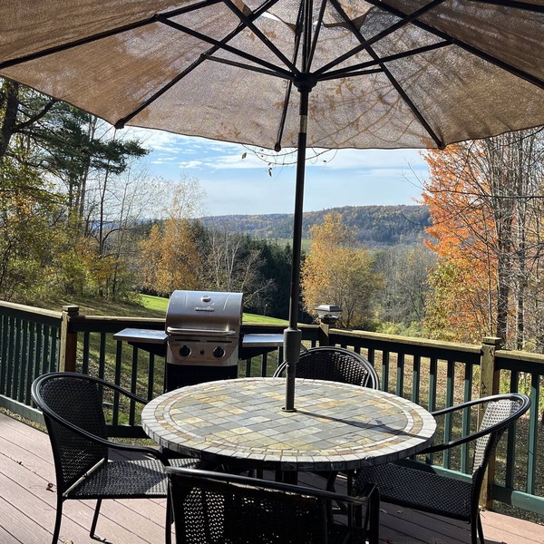 Breezy Hills Apt - Studio apt in a secluded spot, minutes from Cooperstown