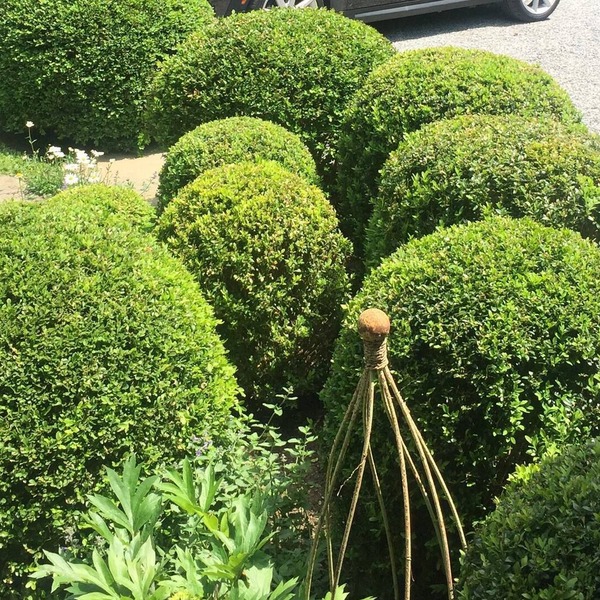 Bridgehampton South Garden Cottage