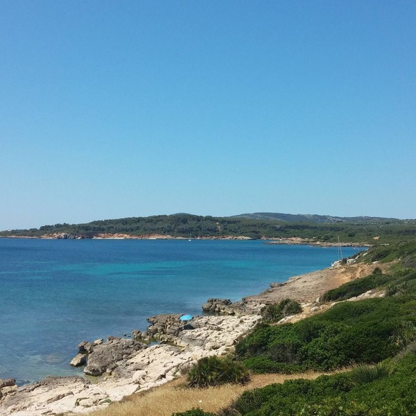 BRIGHT APARTMENT WITHIN WALKING DISTANCE FROM THE SEA