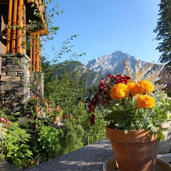 Buffaloberry B&B