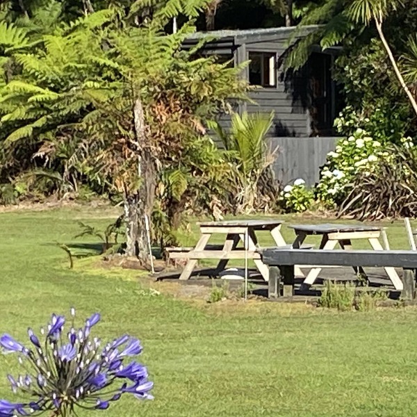 Bush Edge Studio
