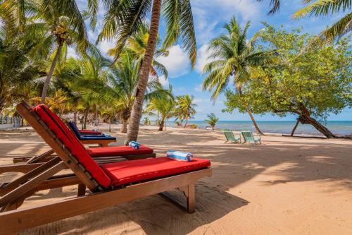 Buttonwood Belize