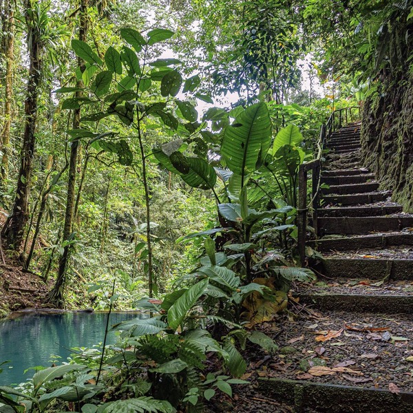 Cabañas Caeli Rainforest Glass Cabin La Perezosa La Fortuna