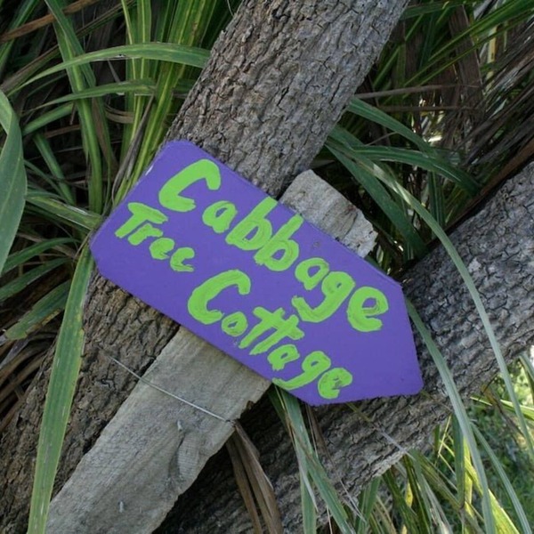Cabbage Tree Cottage - Beautiful home, stunning location. Pet-friendly.