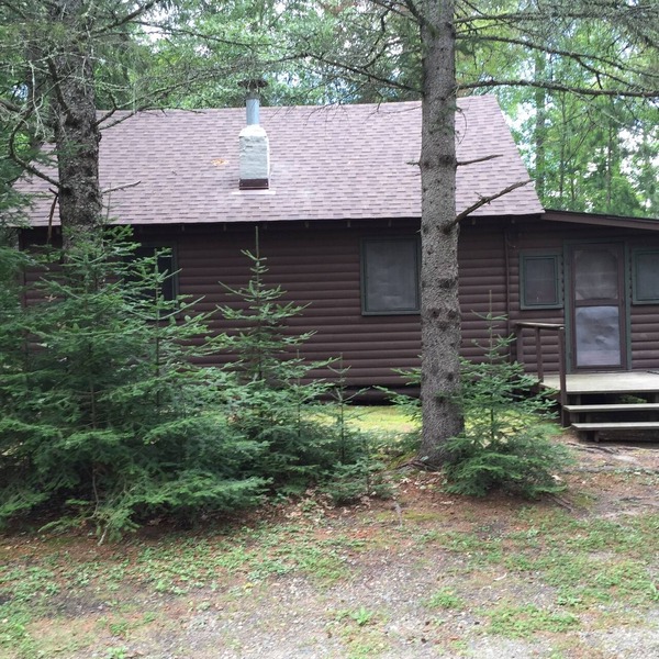 CABIN #4 (Bear) Beautiful knotty pine cabin tucked back by the woods!