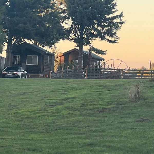 Cabin with a View,