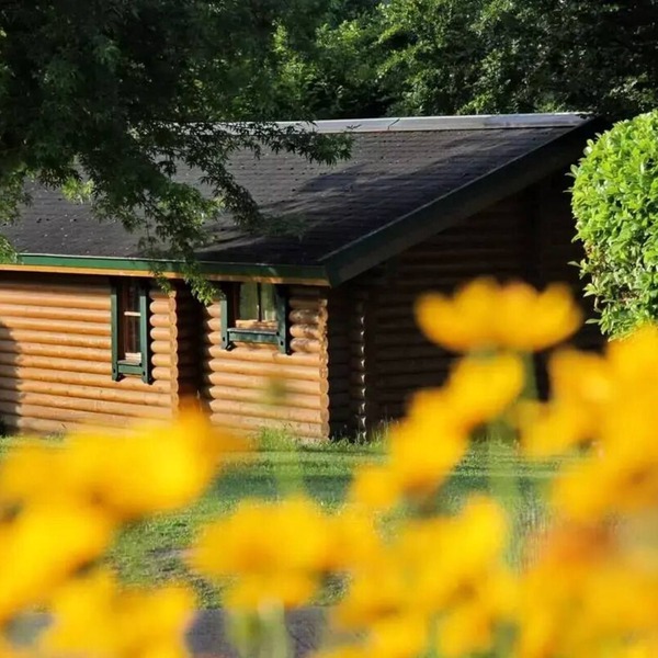 Camping ecovillage SOLEIL DU PIBESTE * - Chalet des MARMOTTES - 2 bedrooms = sheets + towels + cleaning for 4 people