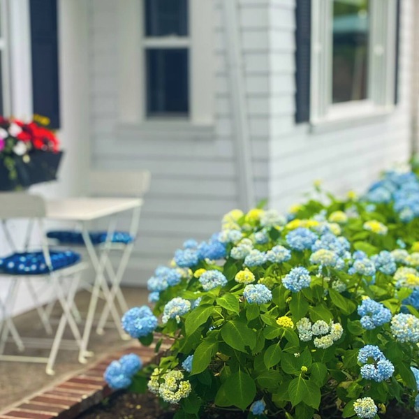 Cape Cod Motor Inn