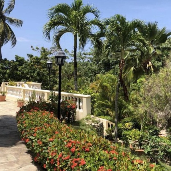 Caribe Campo