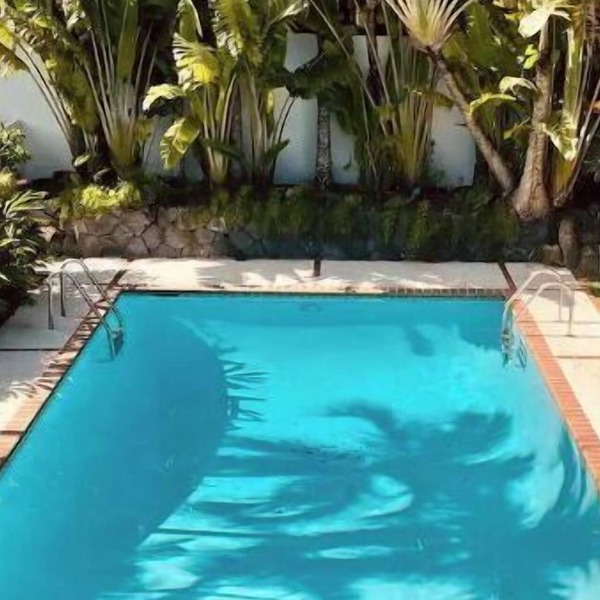 ⭐️Casa De Las Palmas 🌴
