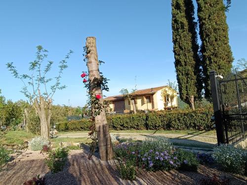 CASA ORNETO