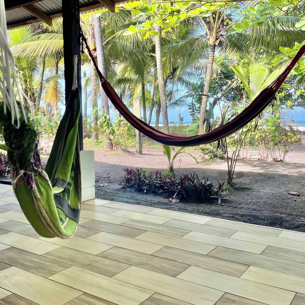 Casa Turtle Bogue - Hostel