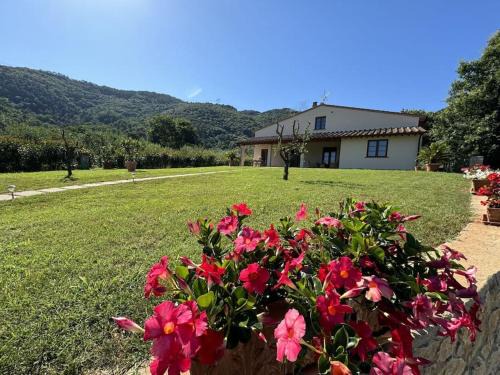 Casa Viviani