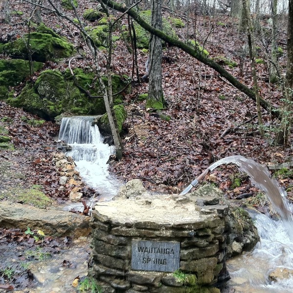 Cedar log cabin overlooking spring-fed ponds with waterfalls at Wautauga Springs