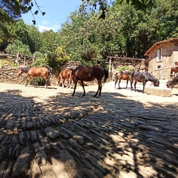 Centro Trekking A Cavallo Monte Brugiana