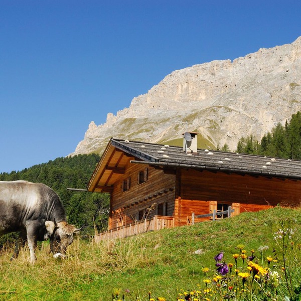 Chalet, alpine hut, ski hut in the middle of the ski area, vacation apartment