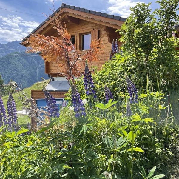 Chalet Belle Roche Recently Renovated Jacuzzi