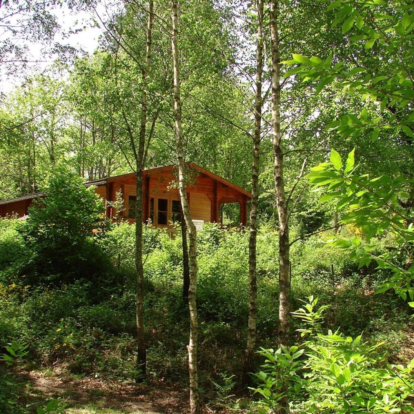 Chalet in the countryside
