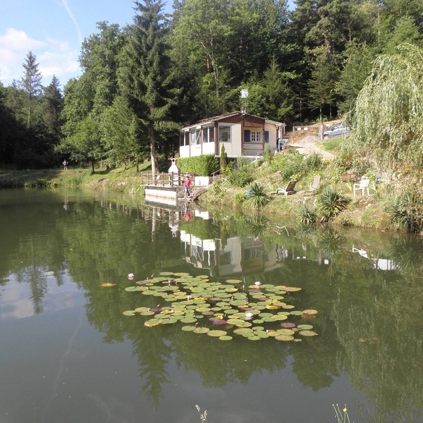 Chalet overlooking a pond in a green setting.