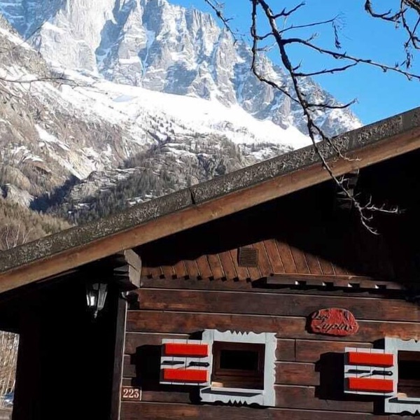 chalet with garden and parking lot in front of Mont-Blanc
