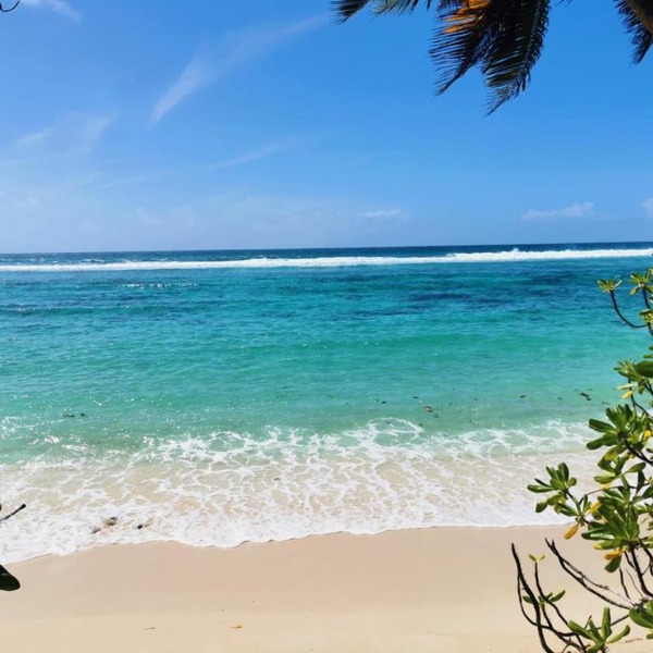 Chalets d'Anse Forbans SelfCatering
