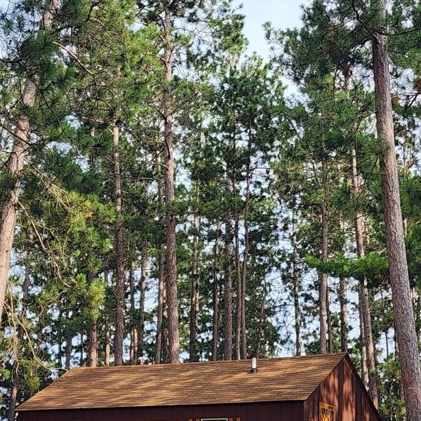 Charming 1-bedroom cabin in wonderful Park Rapids with AC & WIFI. includes Dock.