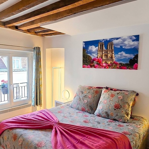 Charming 1820s Flat with Elevator & Queen size bed, near the Louvre