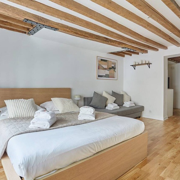 Charming Apartment Center of Paris